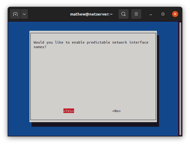 Network Interface Names